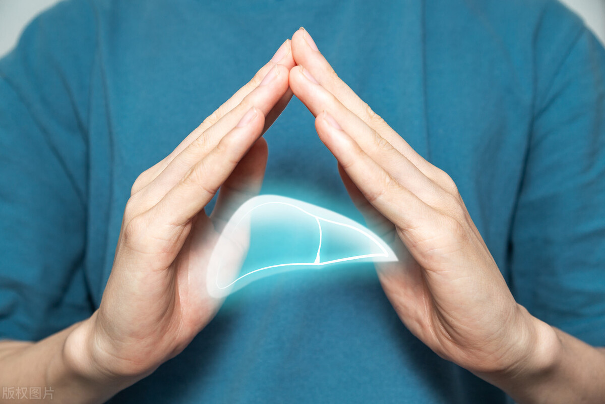 保护肝脏最好的药,喝什么茶保护肝脏