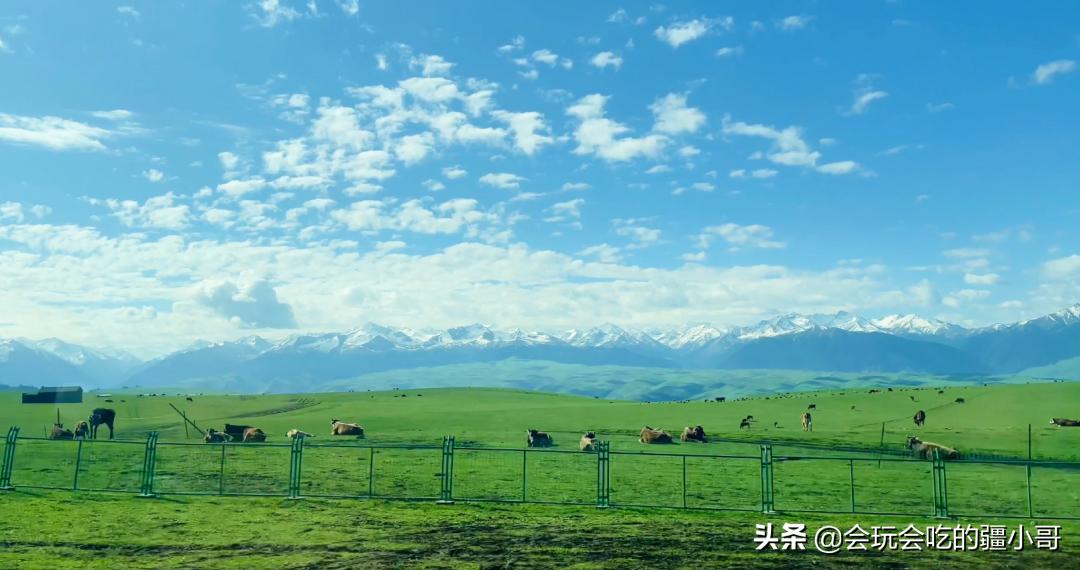 旅行十大危险目的地,旅行需要注意的避坑事项