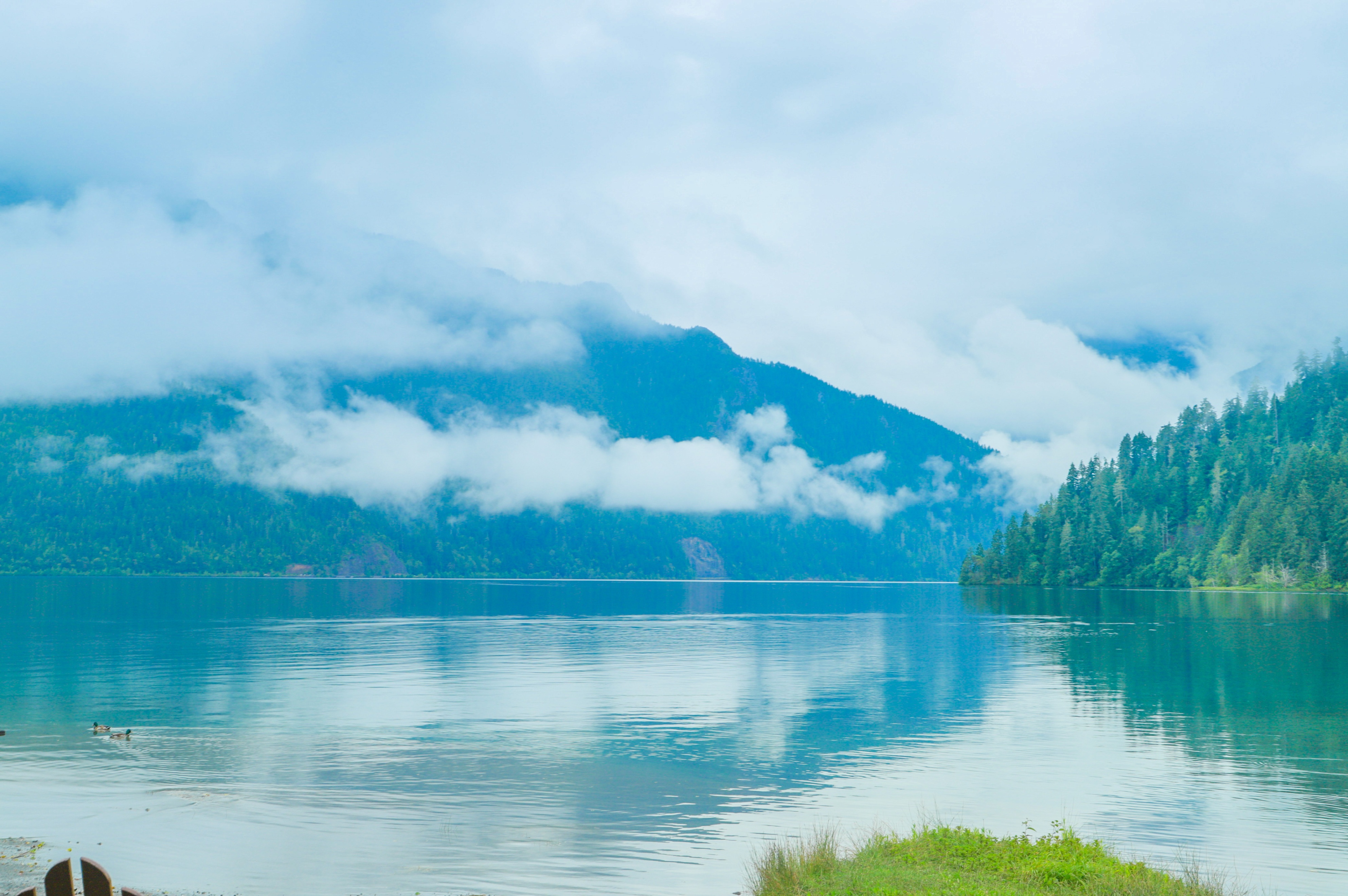 西雅图的“小九寨”，暮光之城取景地，夏天避暑太治愈了