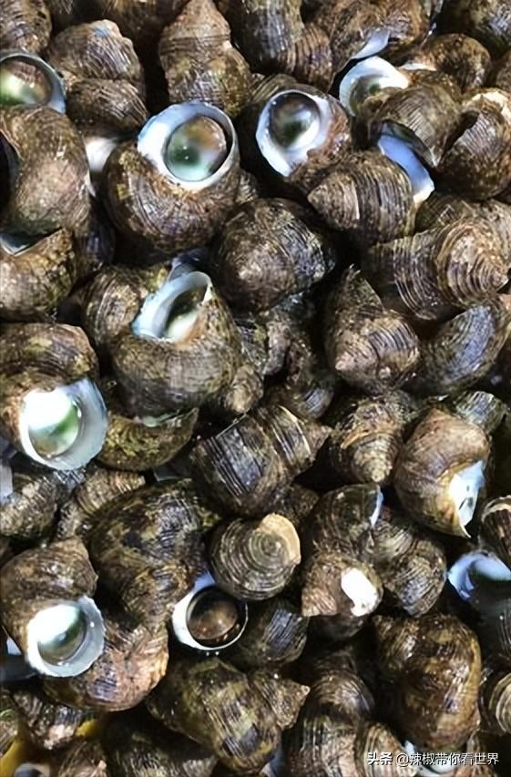 海南岛风景临高,海南临高海边哪里最好