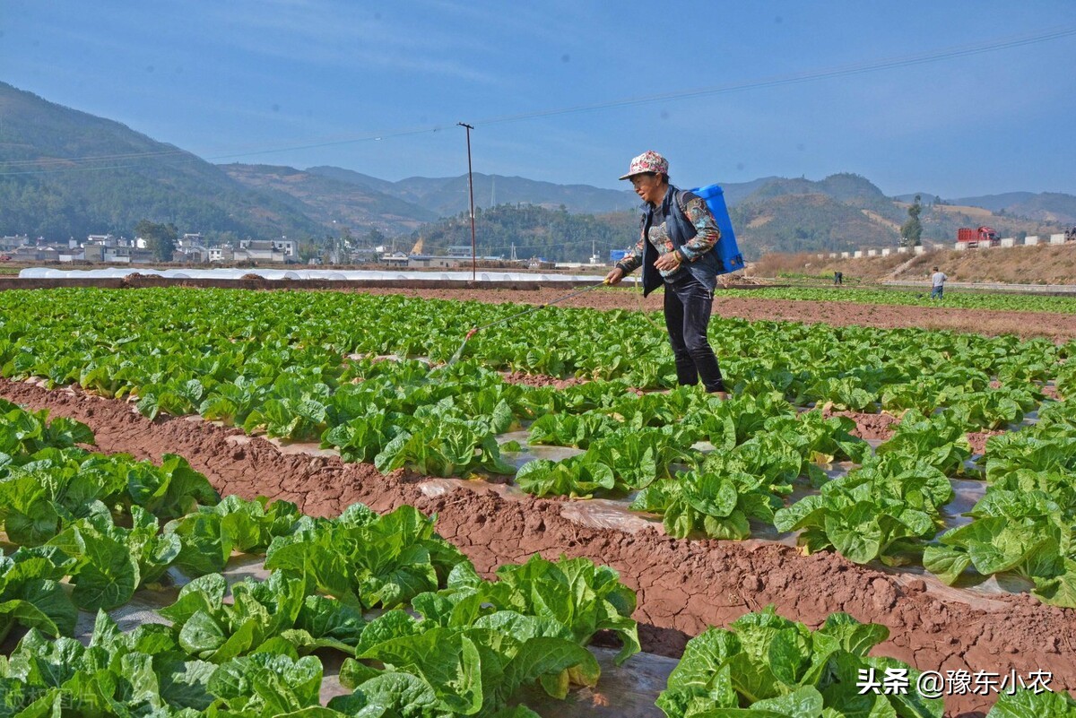 农民种地靠什么赚钱,农民种地靠什么挣钱