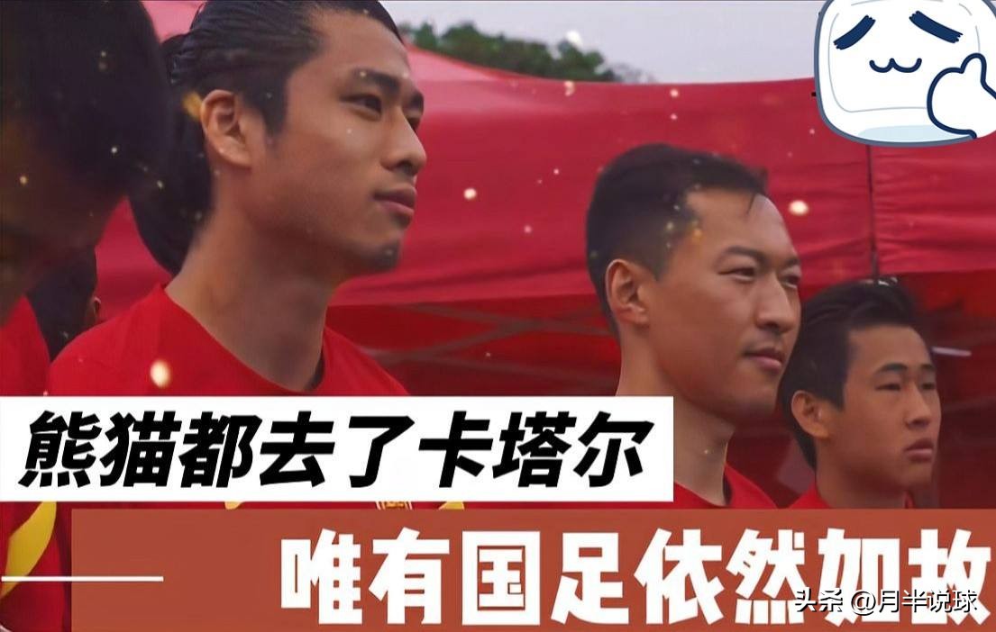 足球球迷新手入门手册,球迷必备的世界杯看球指南