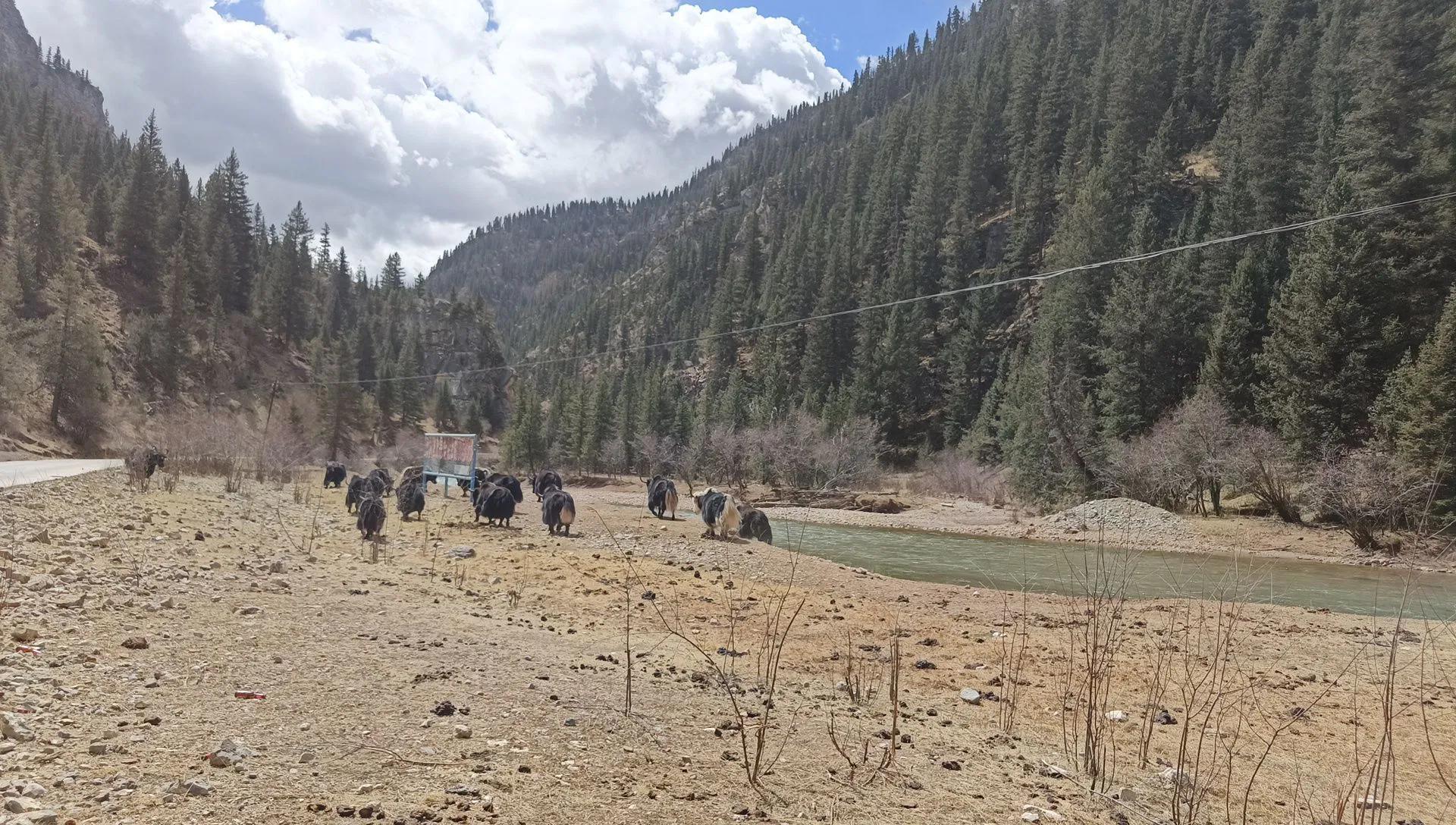 浠庡摢閲屽幓澶╃┖涔嬪煄,鐪熸鐨勫幓澶╃┖涔嬪煄鎺㈤櫓