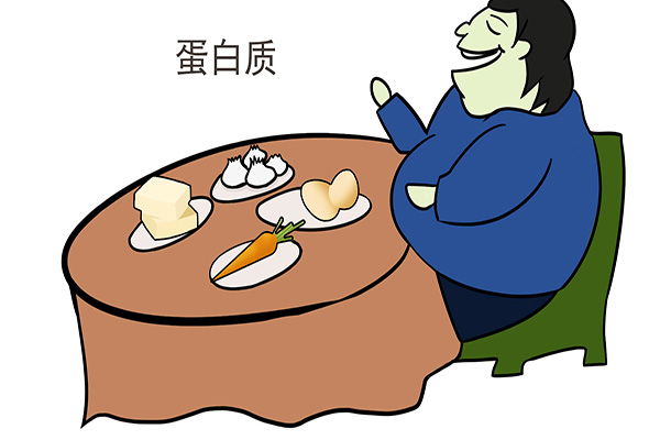 女性长期吃蛋白粉慢性肾病,慢性肾病能吃蛋白粉