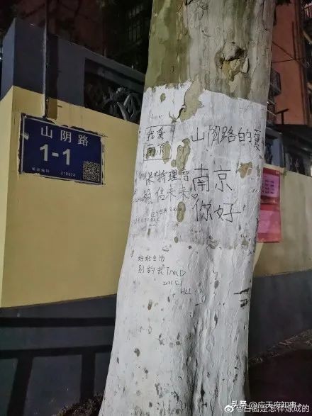 寻找南京最美的地名,南京秦淮河边有一个桃叶渡