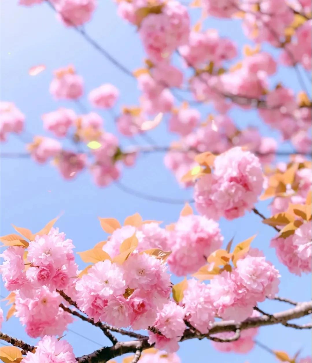 恋爱靠感觉 (爱情靠幻想结婚靠合适)