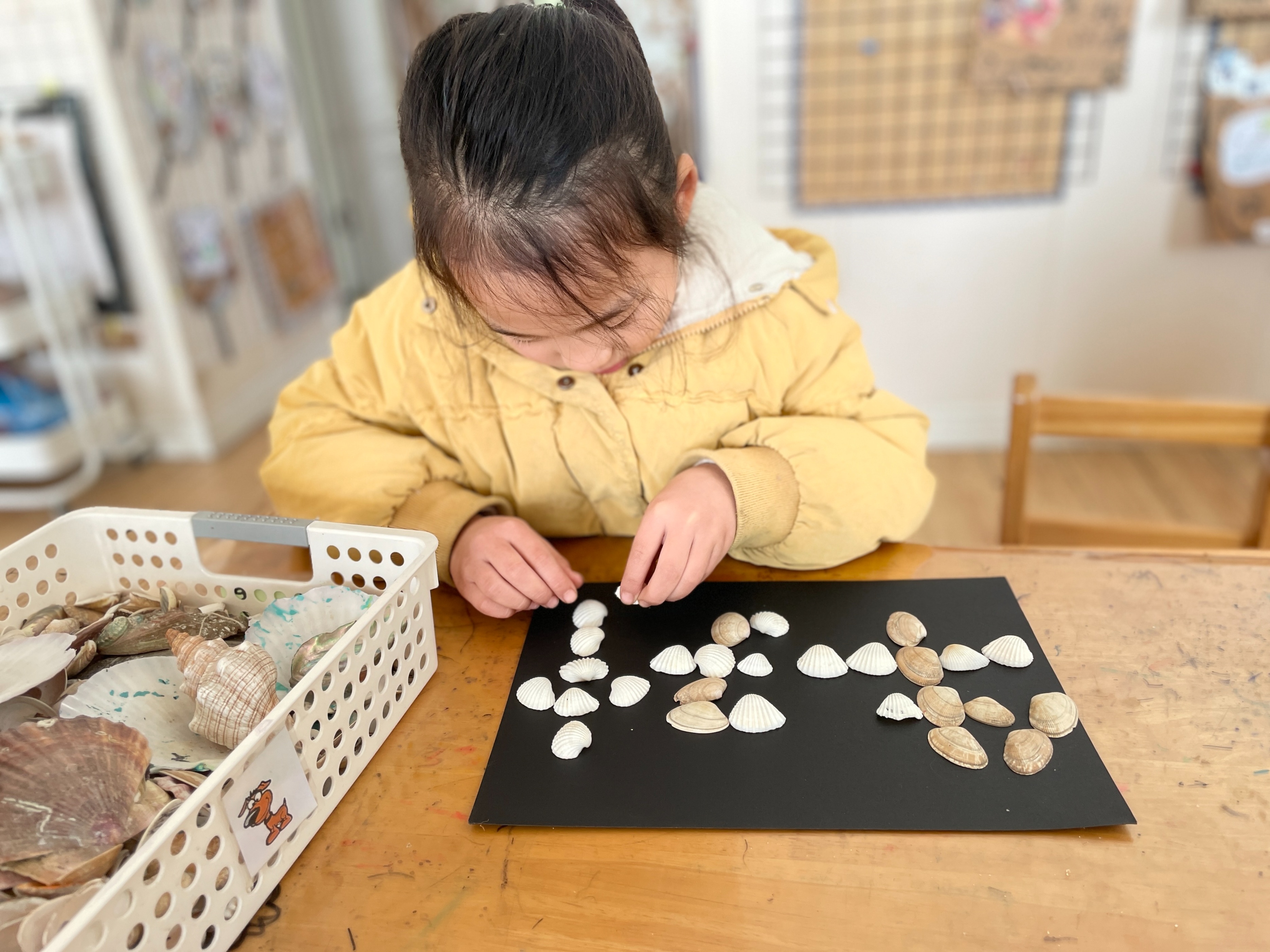 鎴戠殑鍚嶅瓧鐝湰璇剧▼鏁欐,鎴戠殑鍚嶅瓧澶у璇惧爞