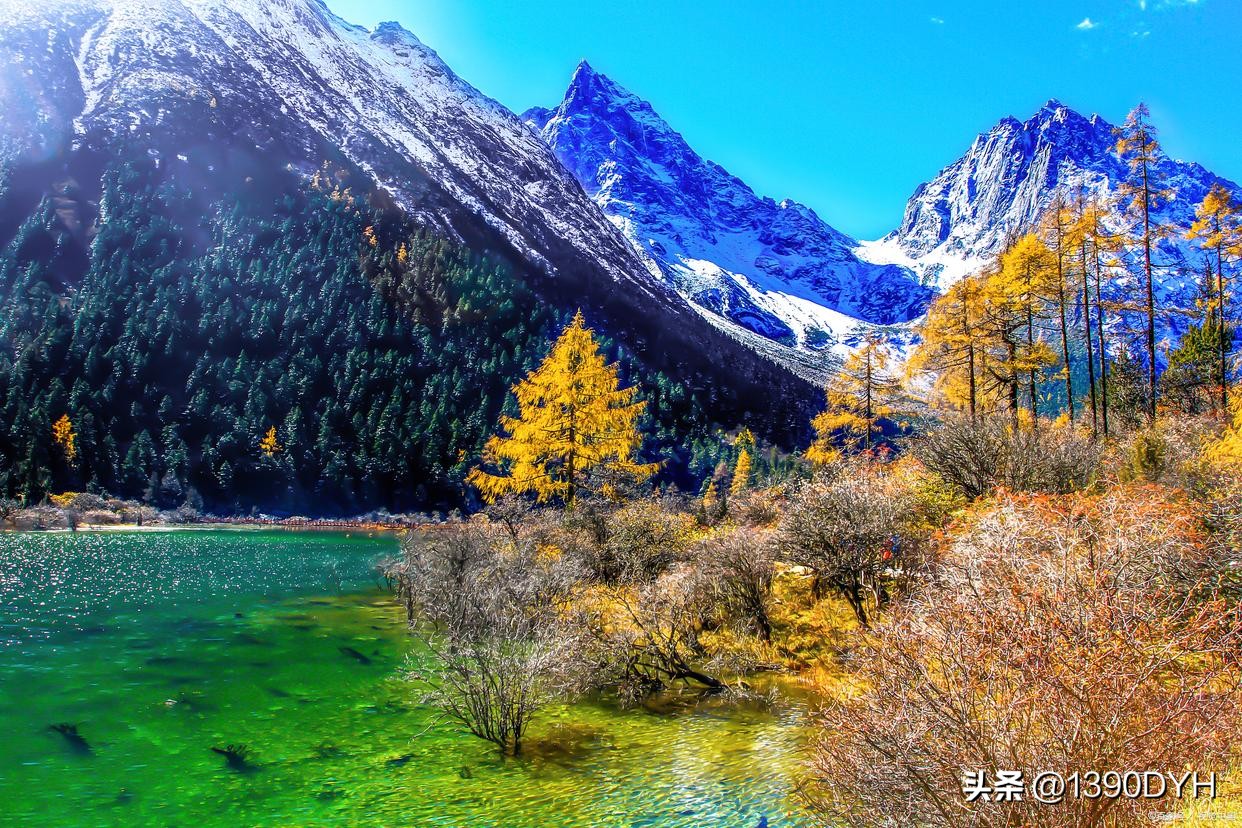 四姑娘山到毕棚沟攻略,四川毕棚沟旅游攻略一日游价格