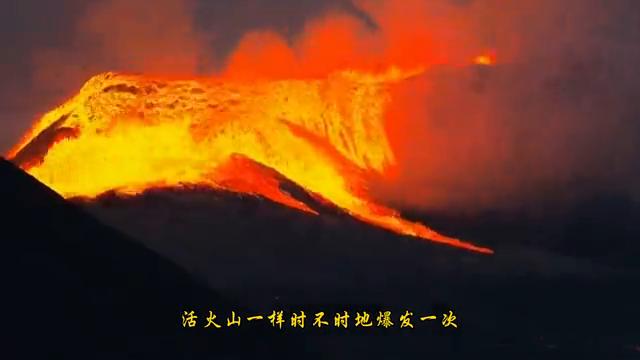 爱情人性分析,如何看懂爱情的本质