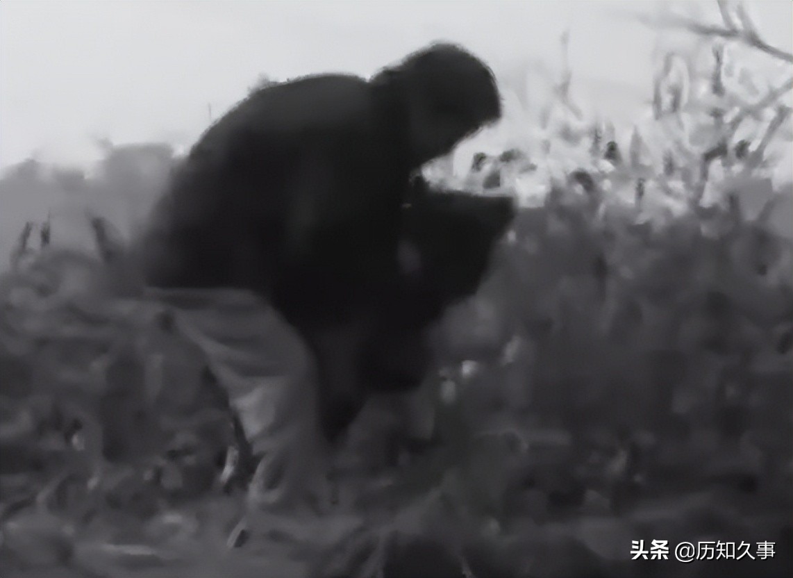 七岁女孩不幸得绝症后续,8岁白血病女孩为了养父写遗书