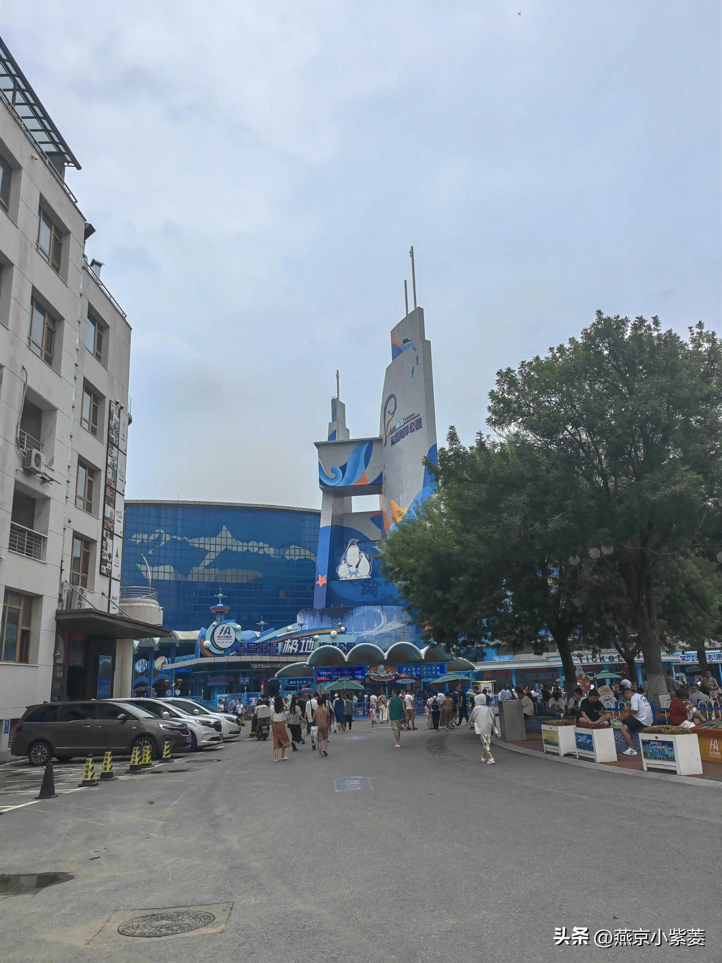 青岛海昌极地海洋世界好玩吗,青岛海昌极地海洋世界vs青岛海底世界