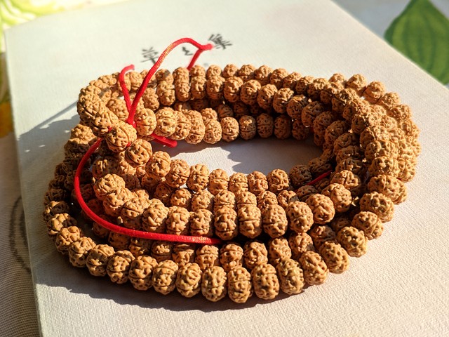 金刚菩提的12个基础知识,牢记这8句话让你终生受益