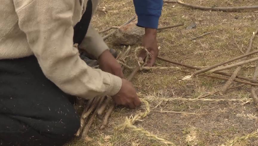 1000人用野草编织30米长的吊索桥，三天完工，每年都要换一次新桥
