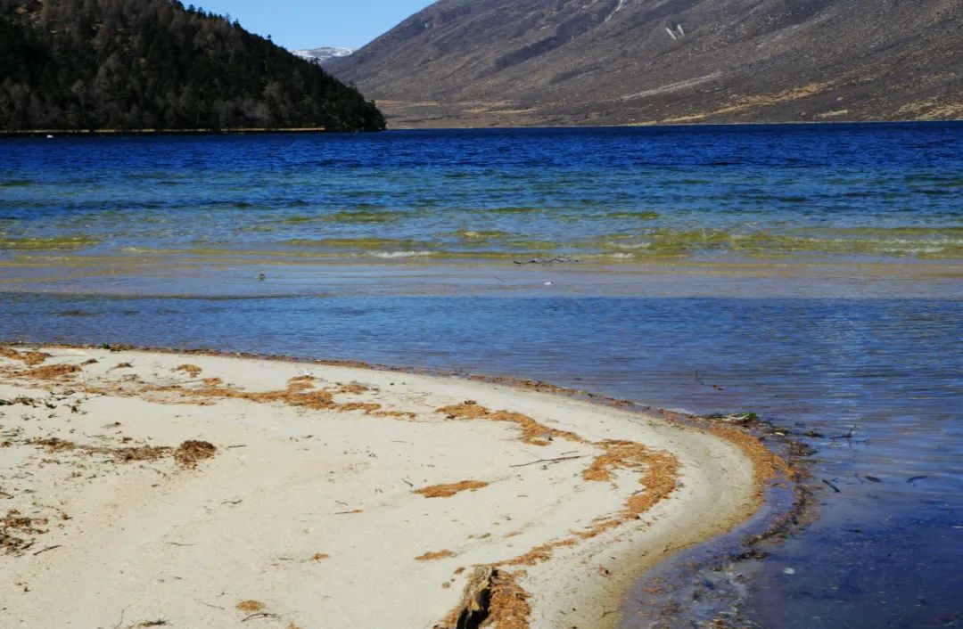 现在的木格措风景,川西高原木格措旅游