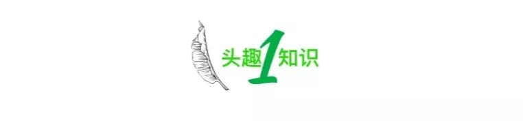 桑葚事件,被骂上热搜的事件