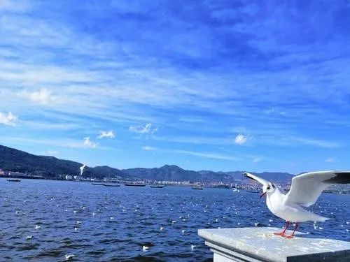 云南昆明有哪些景点值得去,云南昆明旅游必去十大景点