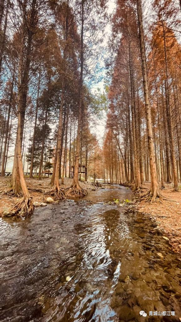 1h直达超好耍露营地！这五处秘密基地出片率100%，带你在星空下篝火旁，拥抱元气秋日大自然~