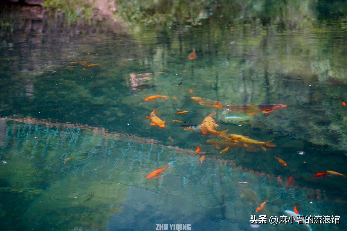 杭州桐庐大奇山二日游,杭州避暑胜地一日游