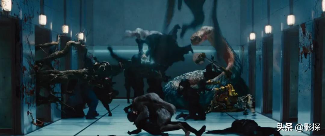 *人用成品**大杂烩，这也能播？