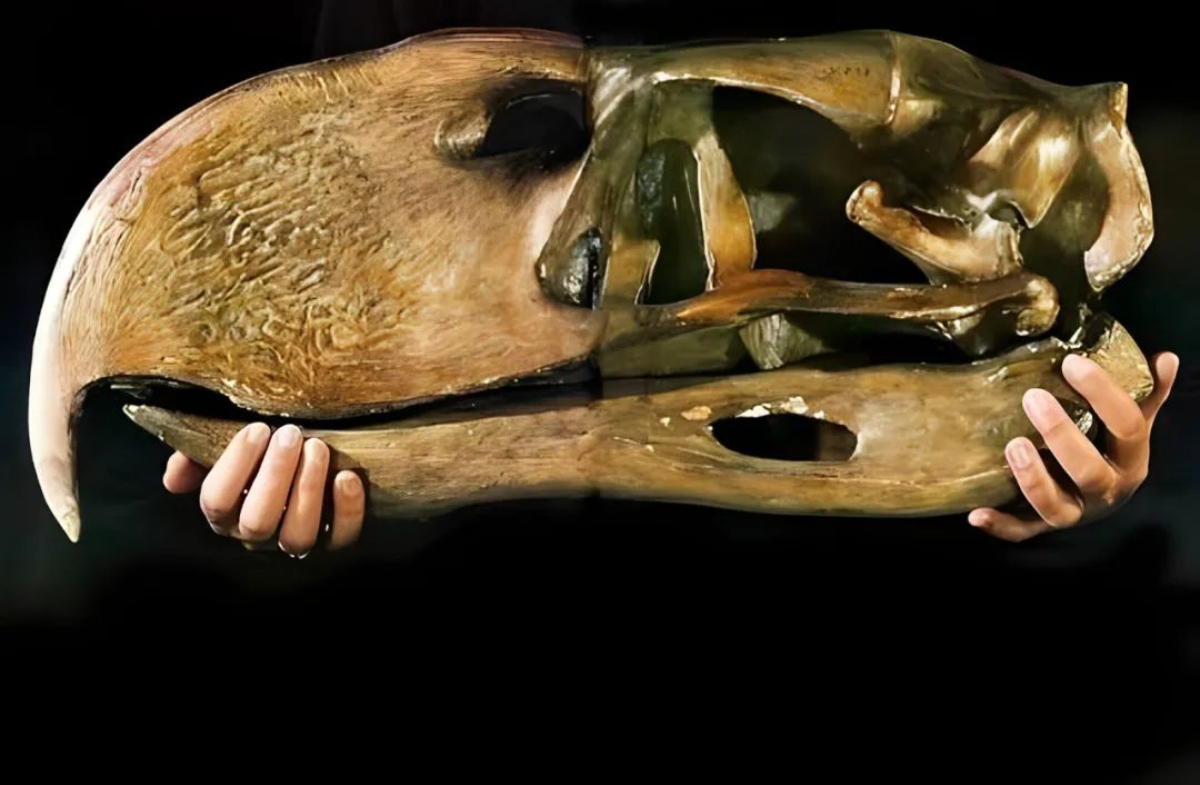 大开眼界30张有趣且罕见的趣图,20张让你涨知识的图