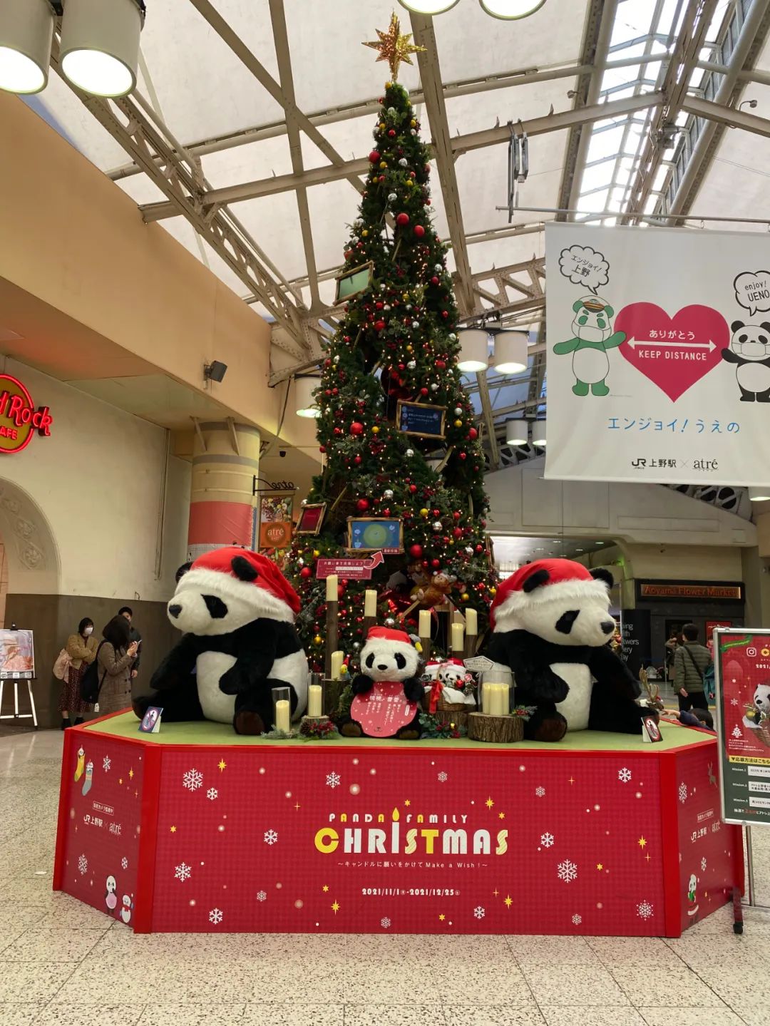 大熊猫香香将启程回国,大熊猫香香最后一天在日本见游客