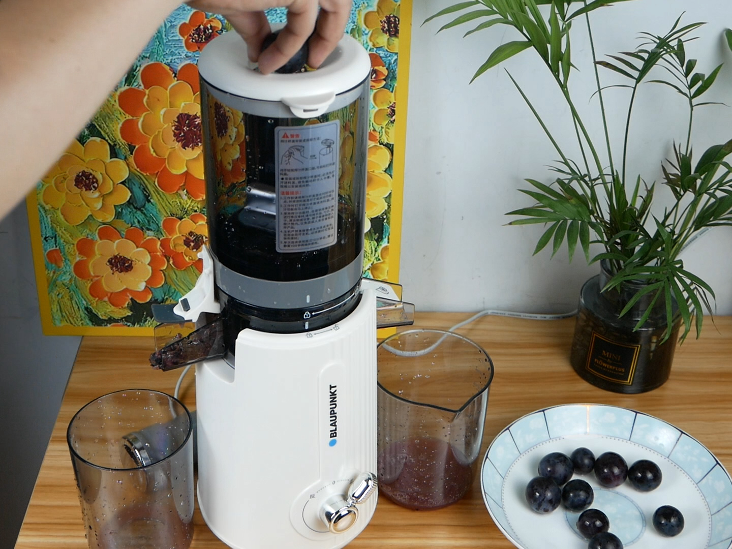 蓝宝的冰淇淋机,德国蓝宝榨汁杯冰淇淋