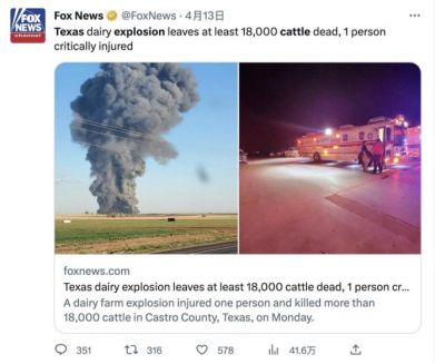 国外7万头牛养牛场赚多少钱,美国养牛一头牛能赚多少