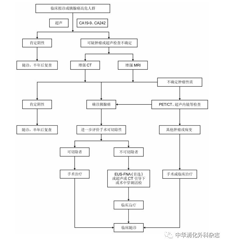胰腺癌诊疗指南解读与实践,胰腺癌诊疗指南2021