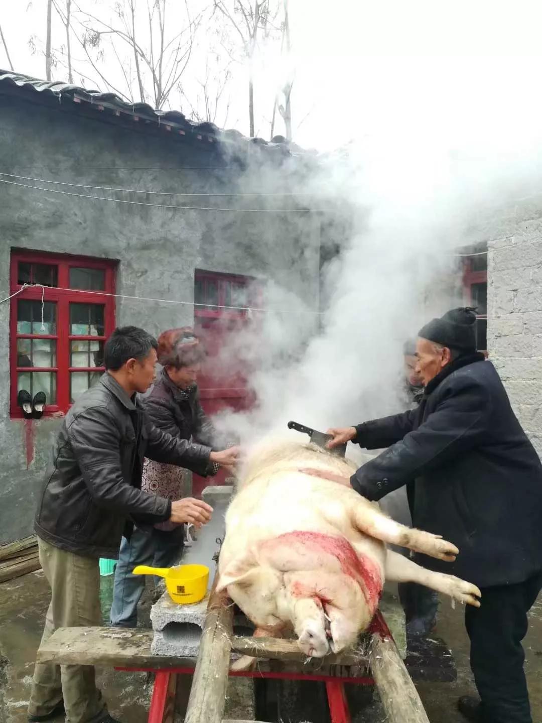 回味童年的味道杀猪菜,原味记忆地地道道的杀猪菜