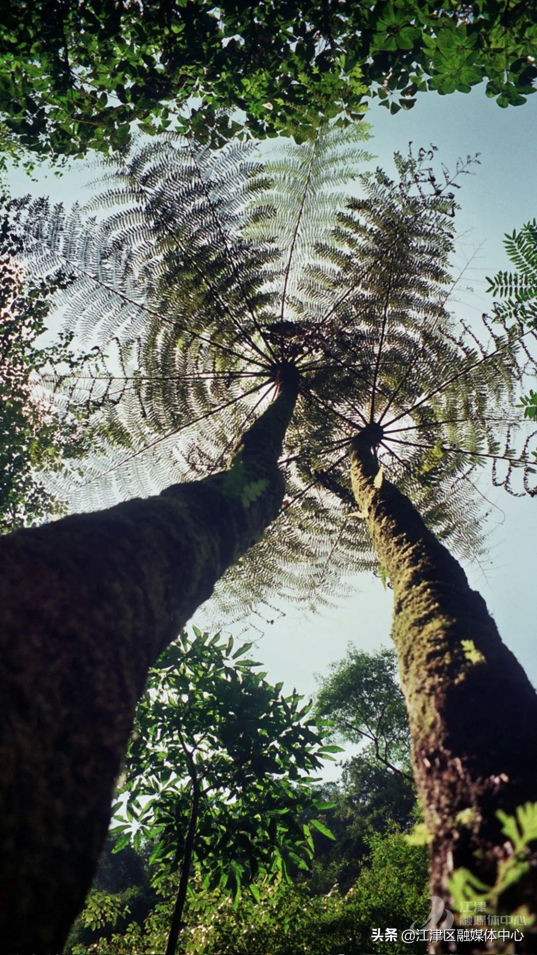 姹熸触鍥涢潰灞变竴鏃ユ父绾胯矾,姹熸触鍥涢潰灞辫嚜椹句竴鏃ユ父