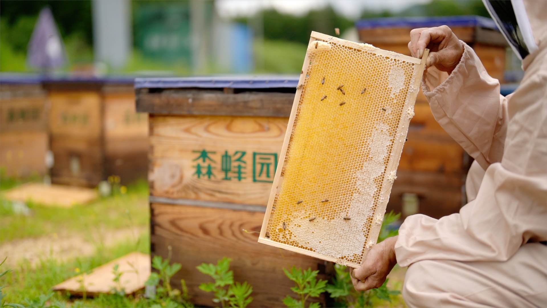 老上海人信赖的蜂蜜品牌，在抖音电商找到第二增长曲线