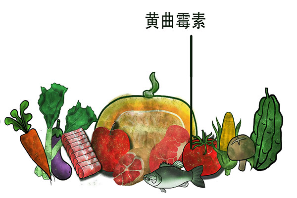 我们吃的米饭主要含有什么,我们吃的粮食中有虫卵吗