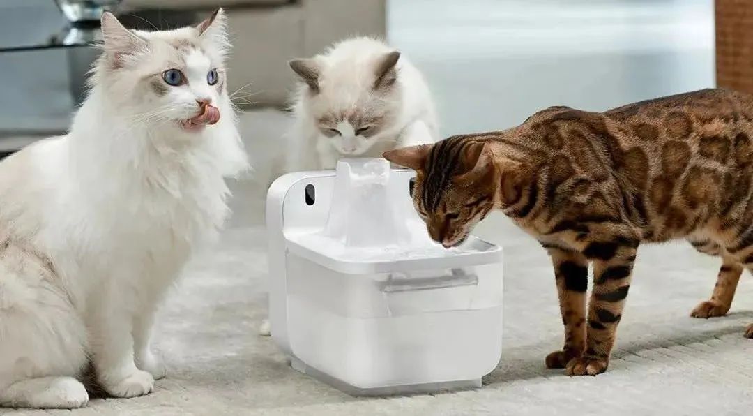 投资人眼中的创投行业,创投大佬挑选创业者最看重啥