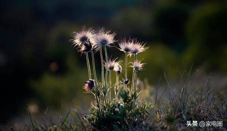 家电经销商的现状,家电经销商这几年转型困惑与痛苦