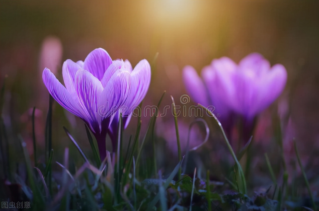 清都的原创诗词，4年作品合集，用文字记录生活