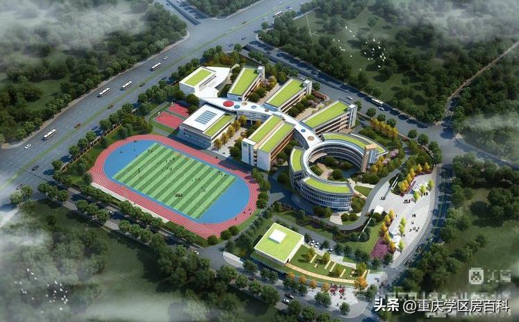 目前哪些学校已经开学了,目前全国开学的学校