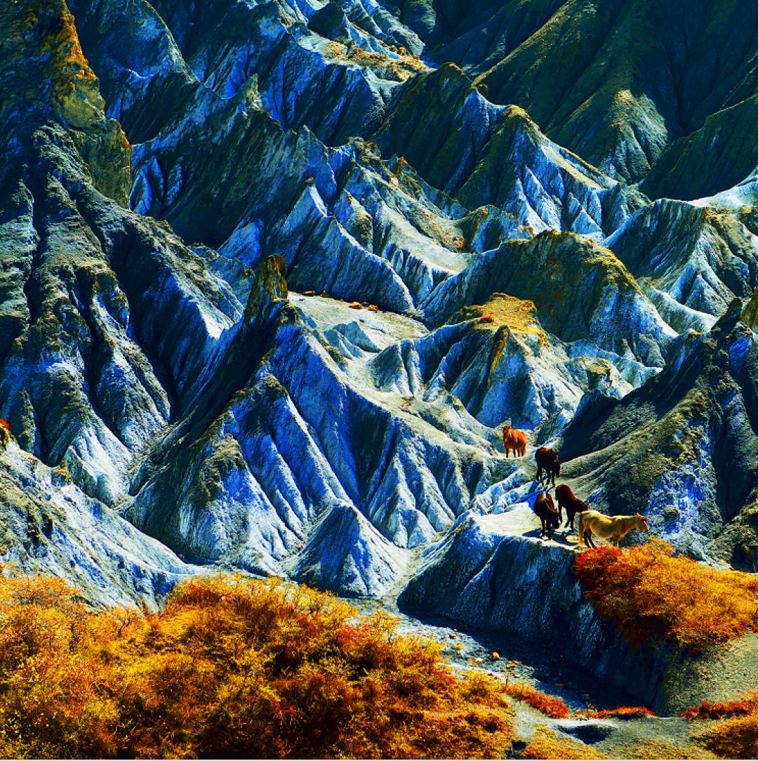 稻城亚丁啥时去最好,去稻城亚丁啥时候去最好