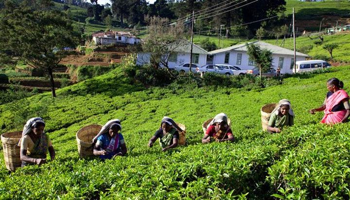 斯里兰卡国家破产民众怎么办,破产的国家斯里兰卡