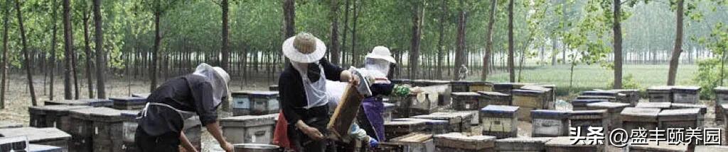 保险密码怎么重新设置,密码锁设置双保险