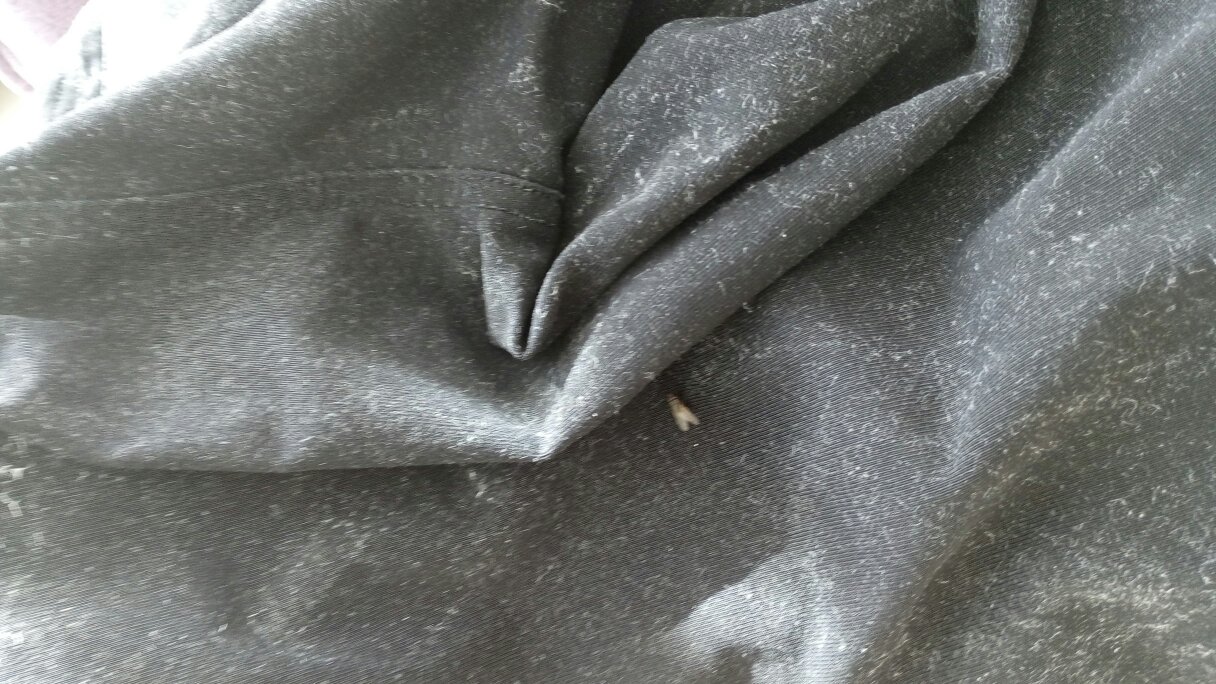 衣服洗完了怎么弄干,衣服清洗妙招家政