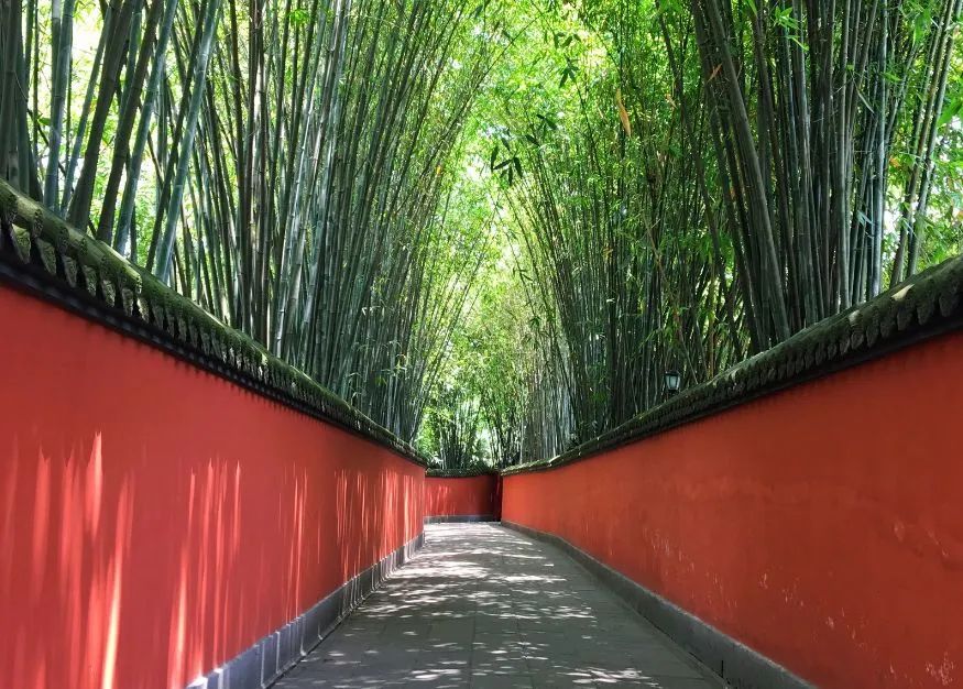 我们赞美四川70年发展变化,真正的四川现状