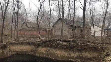 安徽皖北如何发展,安徽皖北农村变化