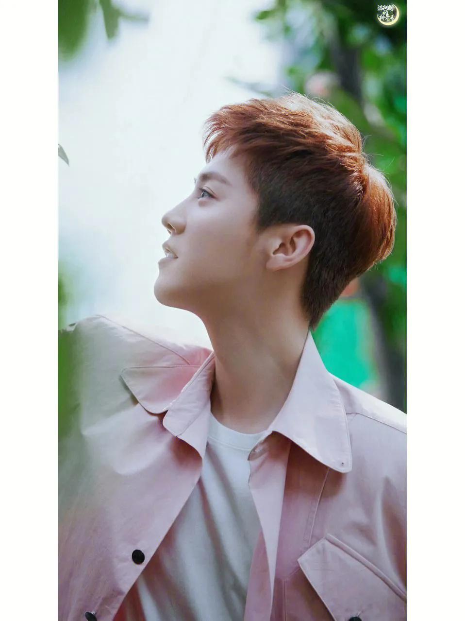 鹿晗的缺点有什么,鹿晗有什么重要的事