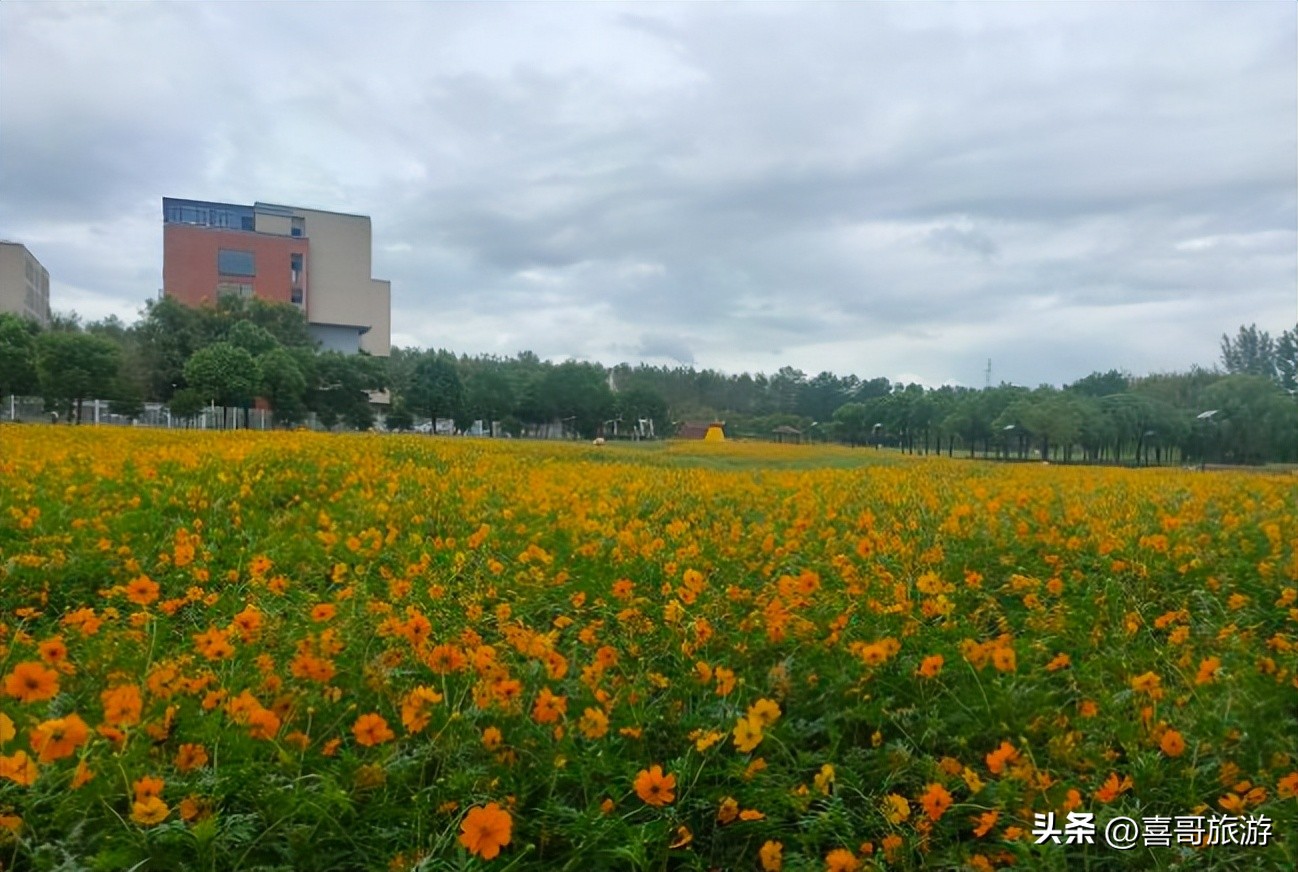 嘉兴秀洲区旅游攻略,嘉兴秀洲区旅游路线攻略