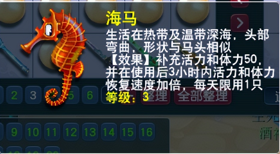 逍遥永恒夺冠,逍遥永恒再战幻雪阁