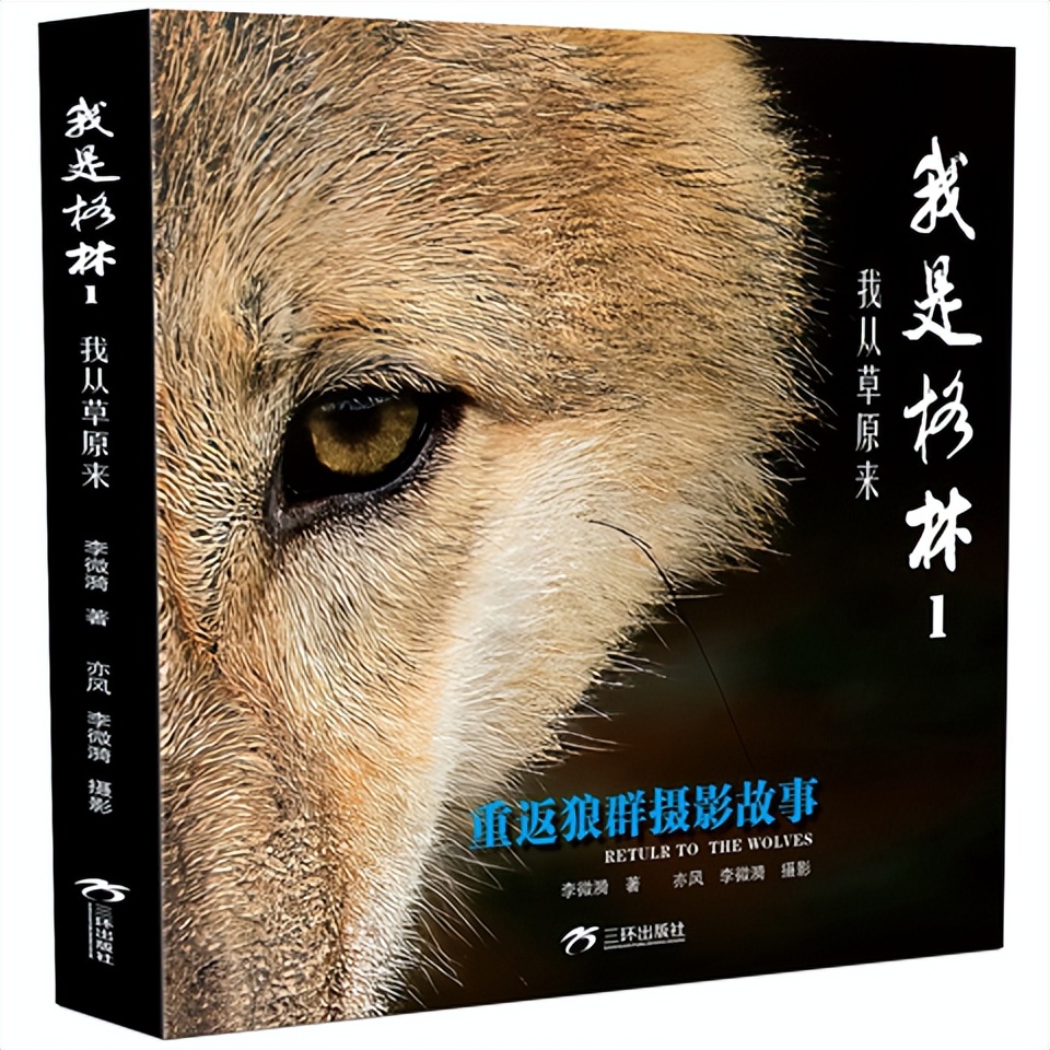 春意上树梢,春意上枝头图片