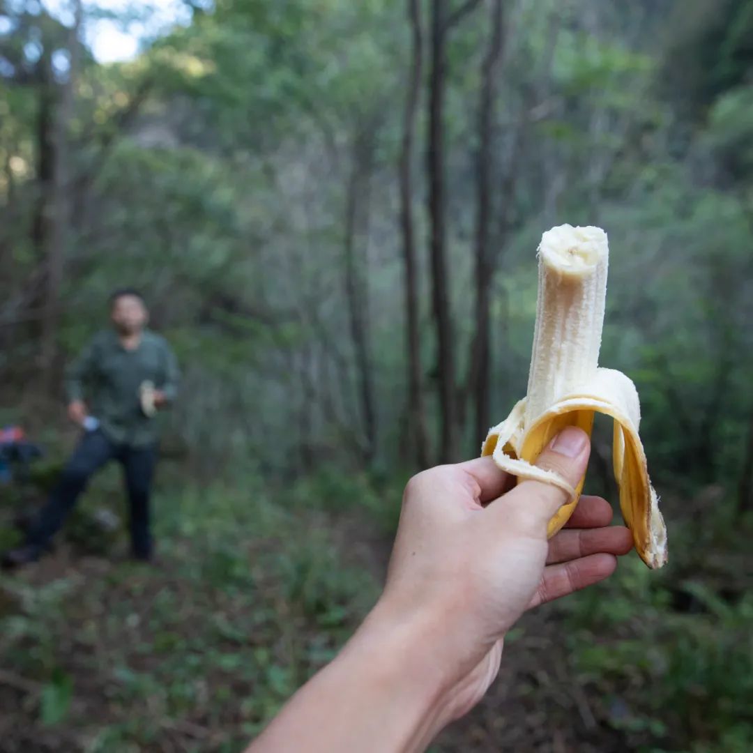 太白山是陕西最高点吗,秦岭最高峰太白山