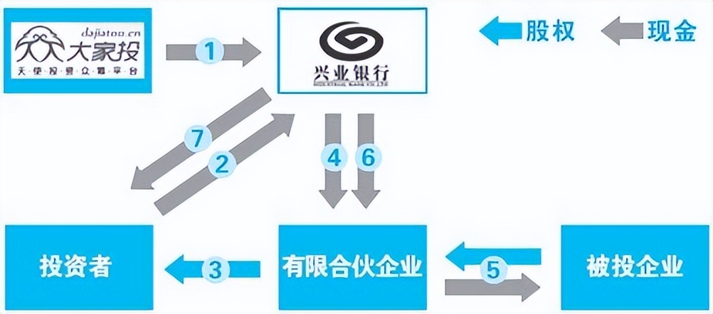 风口的猪全部小说,风口上的猪完整版