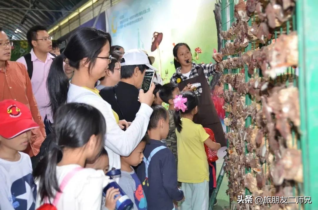 佛山江门广州旅游攻略,佛山去江门旅游攻略