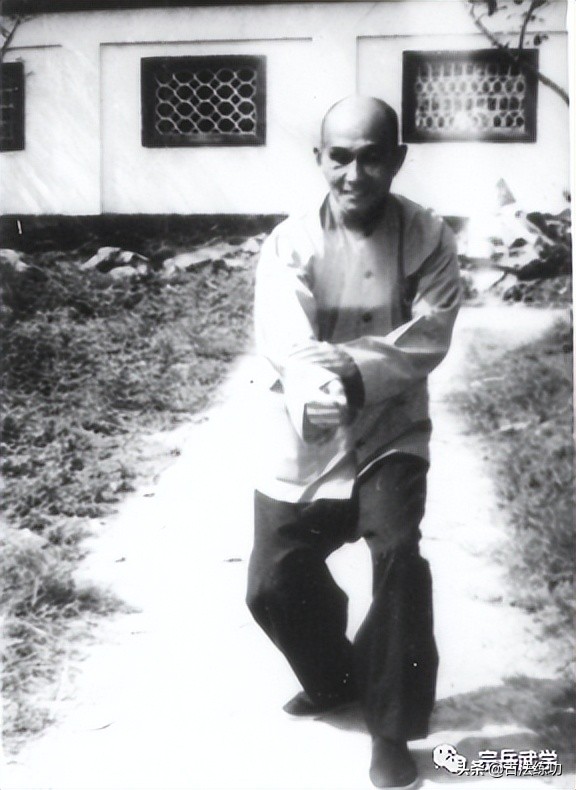 心意拳蛇形,心意拳易筋经